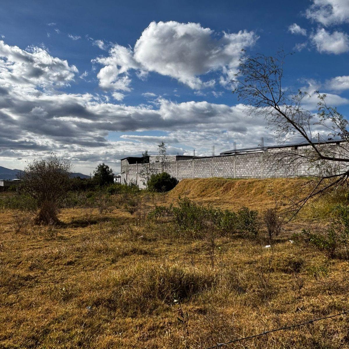 Vendo Terreno de 200 m² en Pifo - Derechos y Acciones — imagen 6