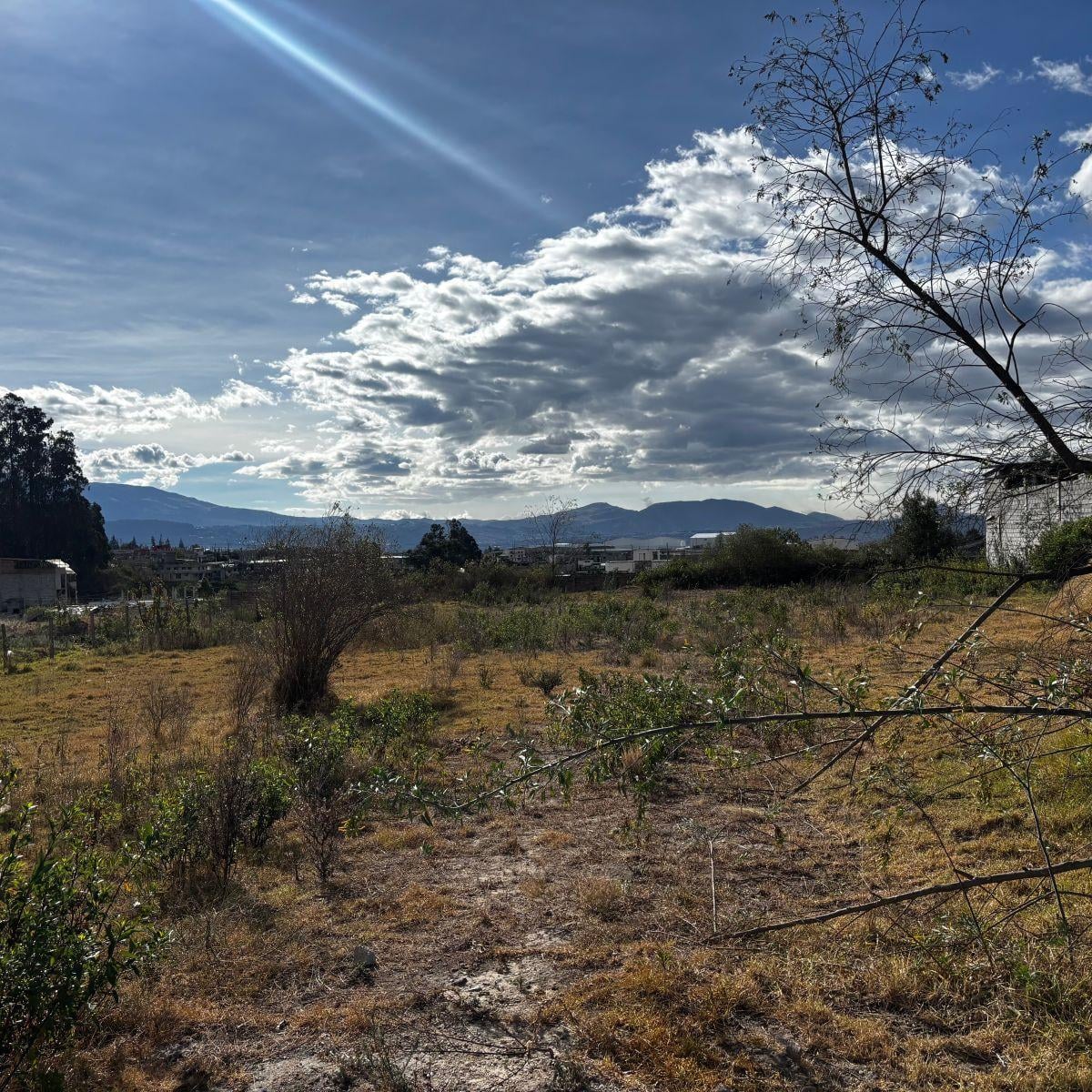 Vendo Terreno de 200 m² en Pifo - Derechos y Acciones — imagen 3