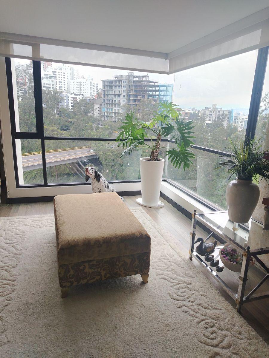 Venta Hermoso Departamento 2 Dorm. con Vista Espectacular bellavista — imagen 8