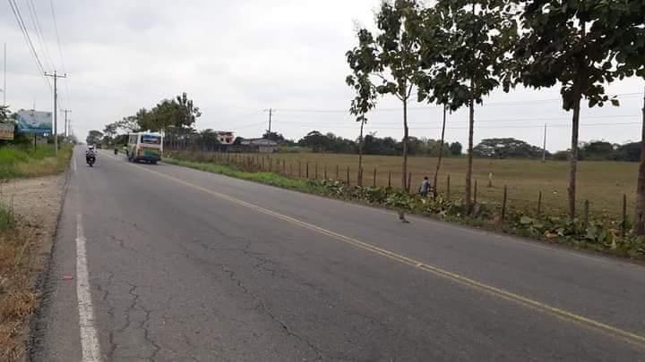 Venta de Terreno de 8,527 m² en Vía a Vinces, Los Ríos — imagen 9