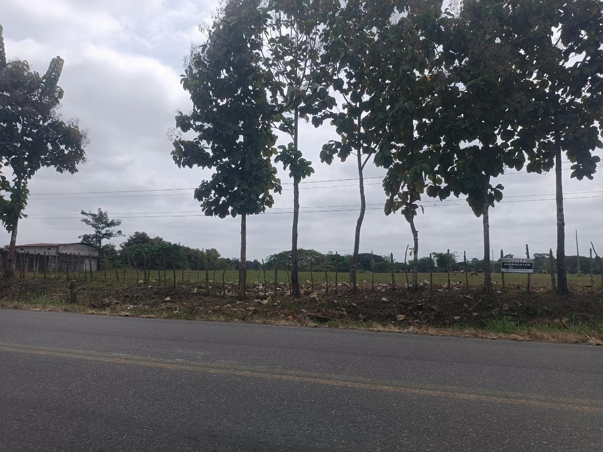 Venta de Terreno de 8,527 m² en Vía a Vinces, Los Ríos — imagen 8