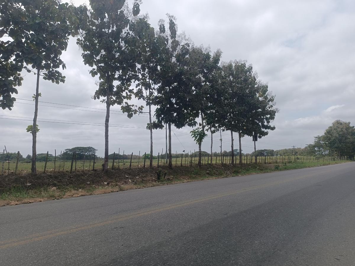 Venta de Terreno de 8,527 m² en Vía a Vinces, Los Ríos — imagen 7
