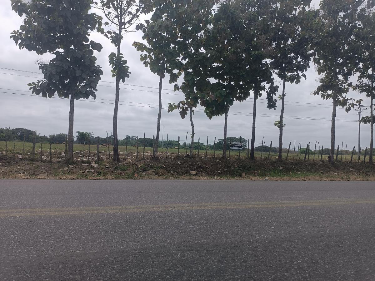 Venta de Terreno de 8,527 m² en Vía a Vinces, Los Ríos — imagen 4
