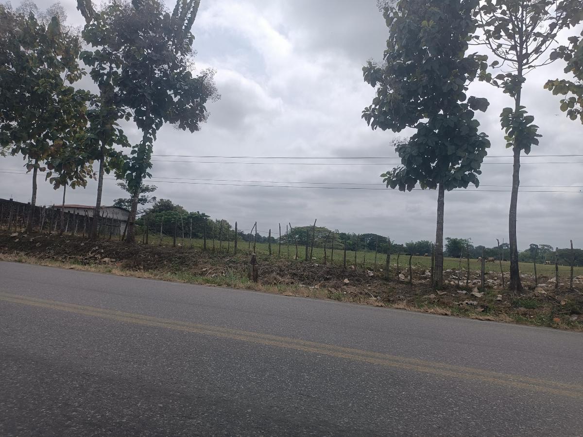 Venta de Terreno de 8,527 m² en Vía a Vinces, Los Ríos — imagen 3