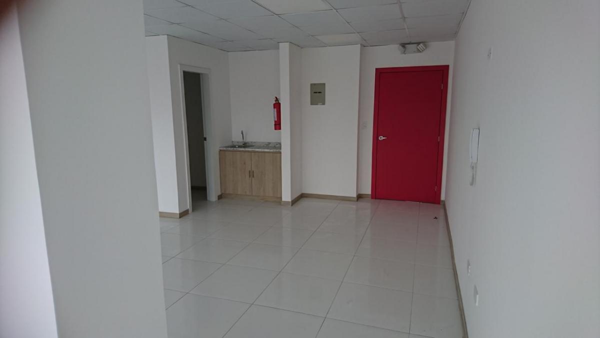 Venta Oficina en El Sector Granda Centeno — imagen 4