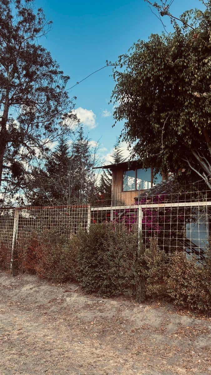 Arriendo o Venta Casa Puembo Campestre Antigua — imagen 6