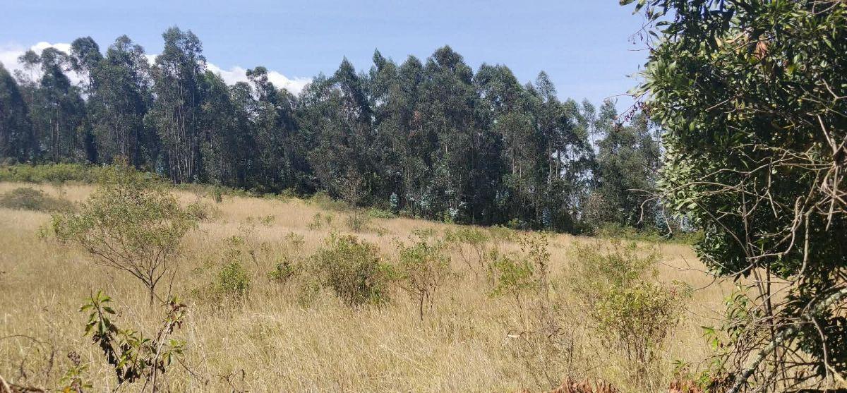 Iñaquito Alto, Vendo Terreno de 35900 m², Ideal Proyecto Inmobiliario. Provincia de Pichincha — imagen 10