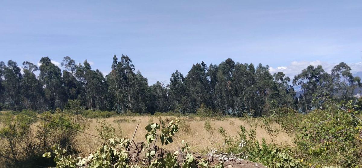 Iñaquito Alto, Vendo Terreno de 35900 m², Ideal Proyecto Inmobiliario. Provincia de Pichincha — imagen 9