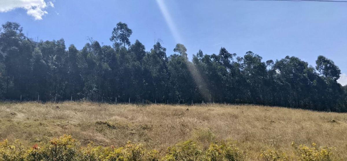 Iñaquito Alto, Vendo Terreno de 35900 m², Ideal Proyecto Inmobiliario. Provincia de Pichincha — imagen 8