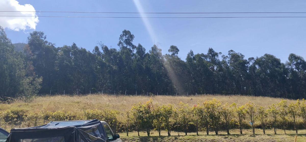 Iñaquito Alto, Vendo Terreno de 35900 m², Ideal Proyecto Inmobiliario. Provincia de Pichincha — imagen 7