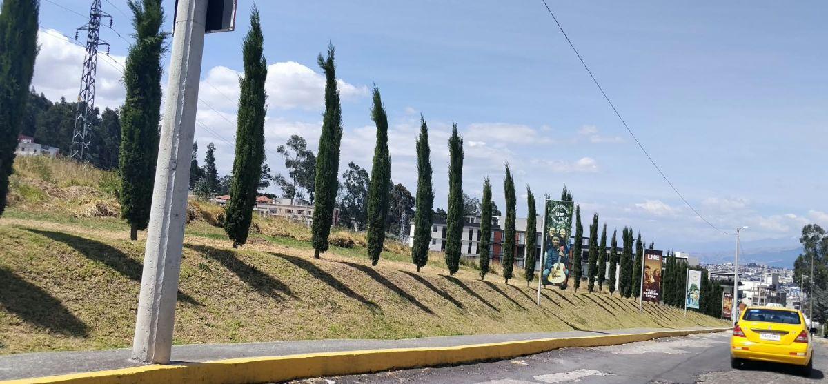 Iñaquito Alto, Vendo Terreno de 35900 m², Ideal Proyecto Inmobiliario. Provincia de Pichincha — imagen 6