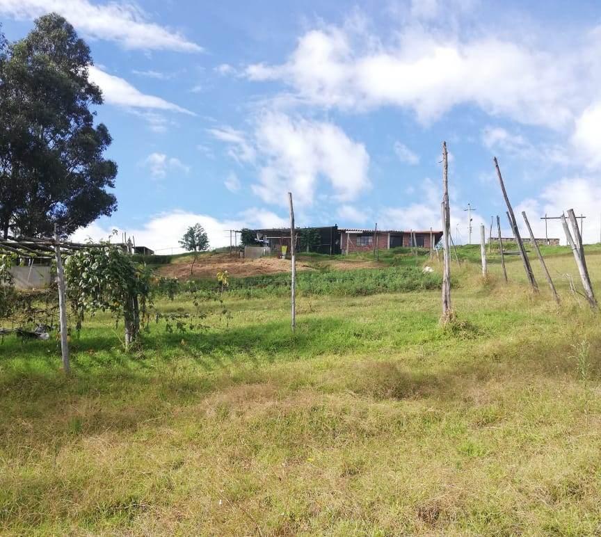Terreno con Casas en Venta Yaruquí (1 Hectárea) con Vista — imagen 8
