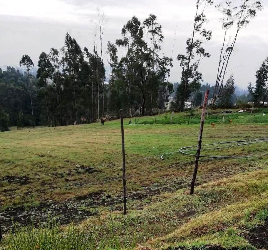 Terreno con Casas en Venta Yaruquí (1 Hectárea) con Vista — imagen 4