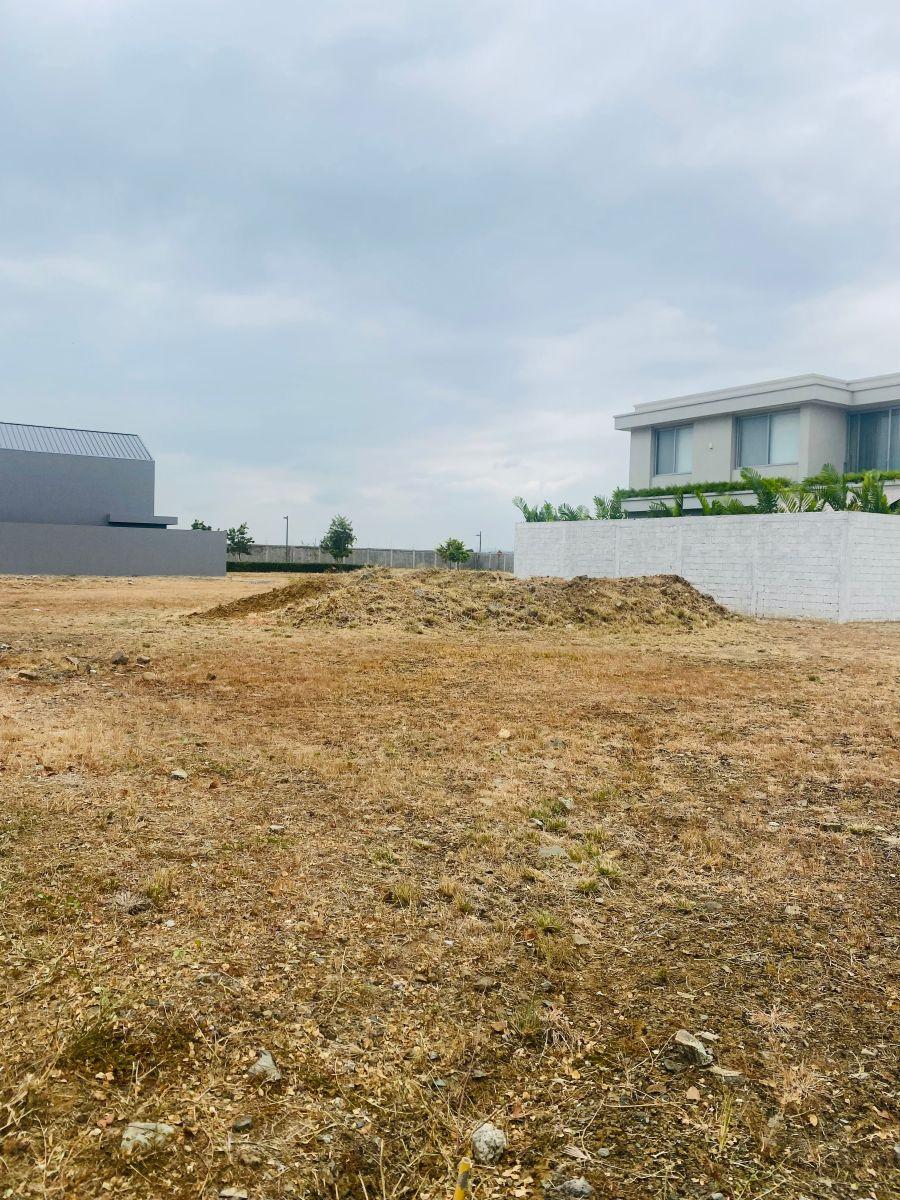 Vendo Terreno en Punta Barranca, Guayas — imagen 9
