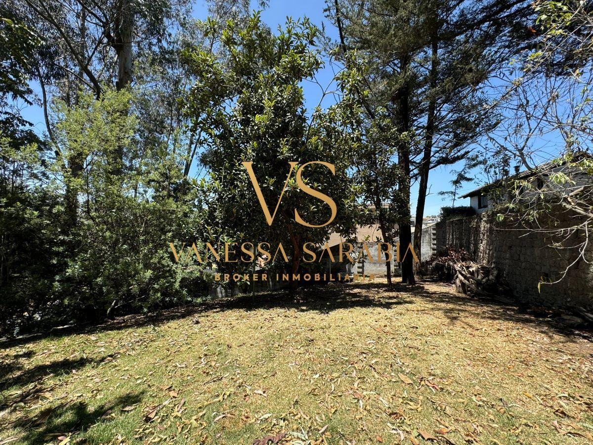 Terreno de 2543 m² en Venta en Monteserrín — imagen 9