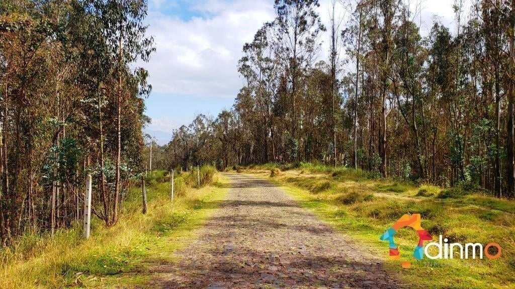 Terreno en Venta con Cerramiento Yaruquí 9.500 m² con Vista — imagen 7