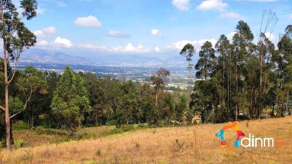 Terreno en Venta con Cerramiento Yaruquí 9.500 m² con Vista — imagen 4
