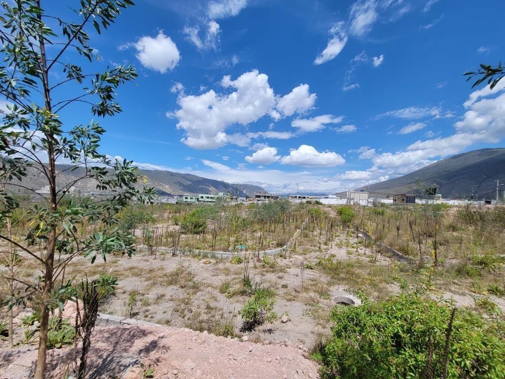 Terreno 25.000 m² Constructores Vivienda Vip Interés Popular (Mitad del Mundo) — imagen 9