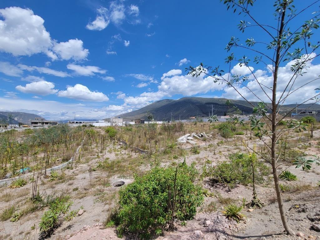 Terreno 25.000 m² Constructores Vivienda Vip Interés Popular (Mitad del Mundo) — imagen 7