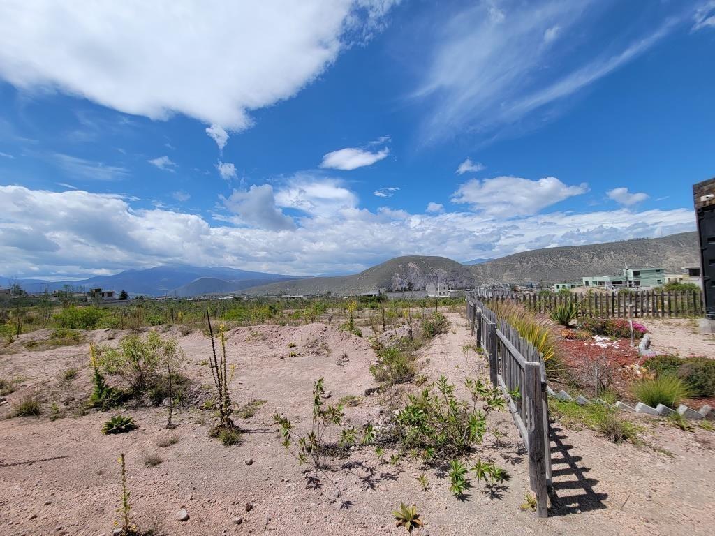 Terreno 25.000 m² Constructores Vivienda Vip Interés Popular (Mitad del Mundo) — imagen 5