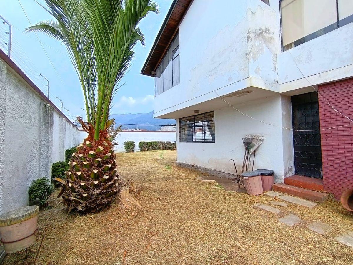Venta Casa con Amplio Terreno, 800 m. Sector Las Gardenias, El Inca — imagen 8