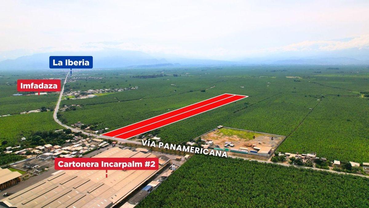 Venta de Macrolote Via Panamericana, por Incarpalm, El Oro — imagen 5