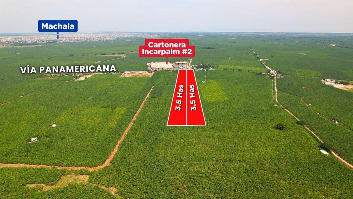 Venta de Macrolote Via Panamericana, por Incarpalm, El Oro — imagen 3