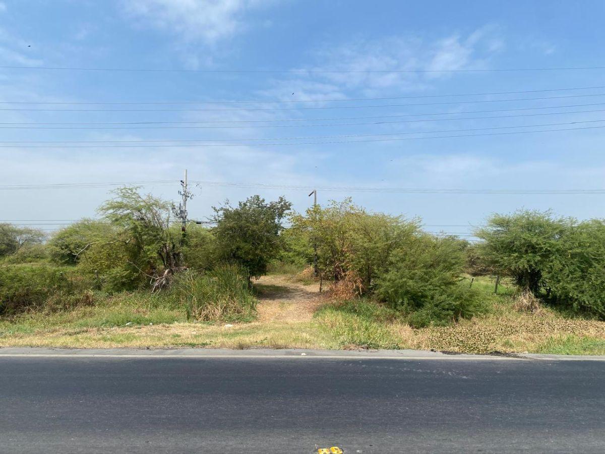 Macrolote Industrial en Venta en El Km 14 Vía Durán Tambo A. Berrobes - A. Marín, Guayas — imagen 5