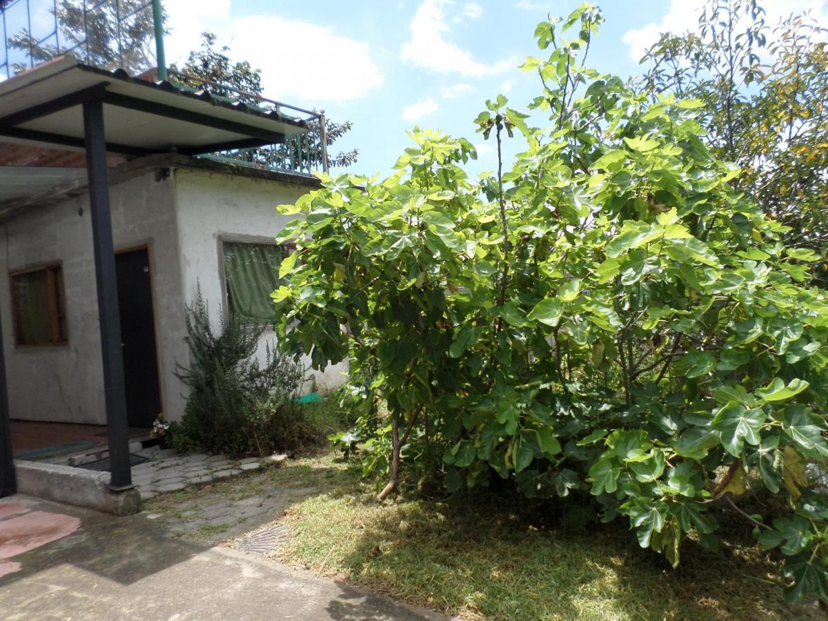 Vendo Terreno 1188 m², con Vivienda, Sector Gualó, Llano Chico — imagen 3