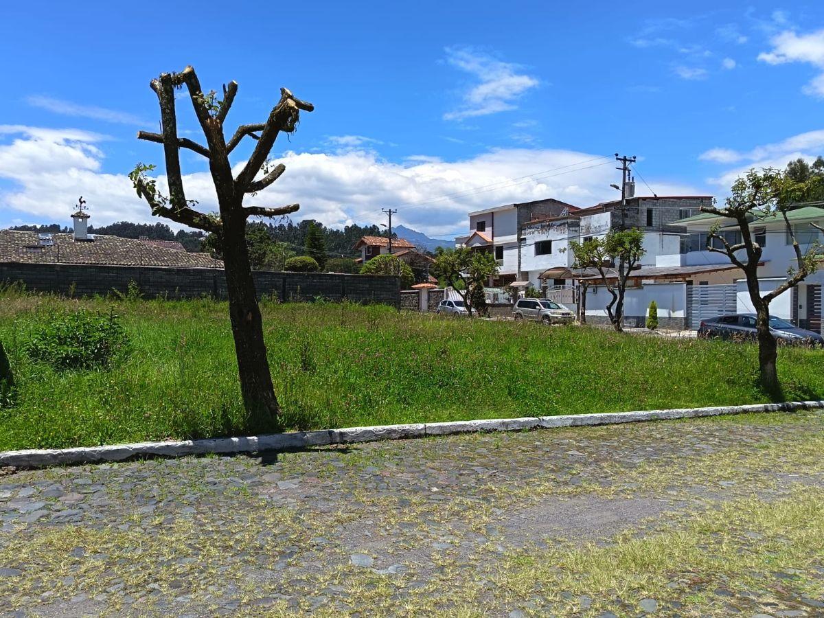 Venta Terreno 719 m. en Urbanización Los Chillos — imagen 6