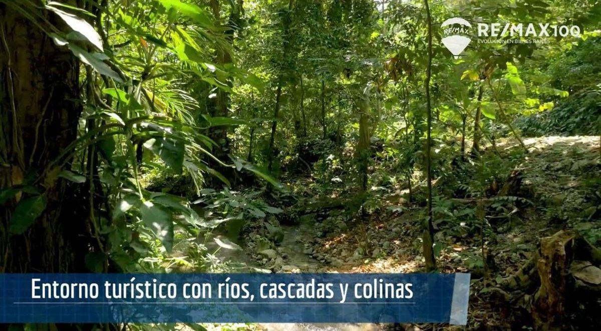 Venta Finca de 81.2011 Has - Carchipulla/santa Rosa, El Oro — imagen 9