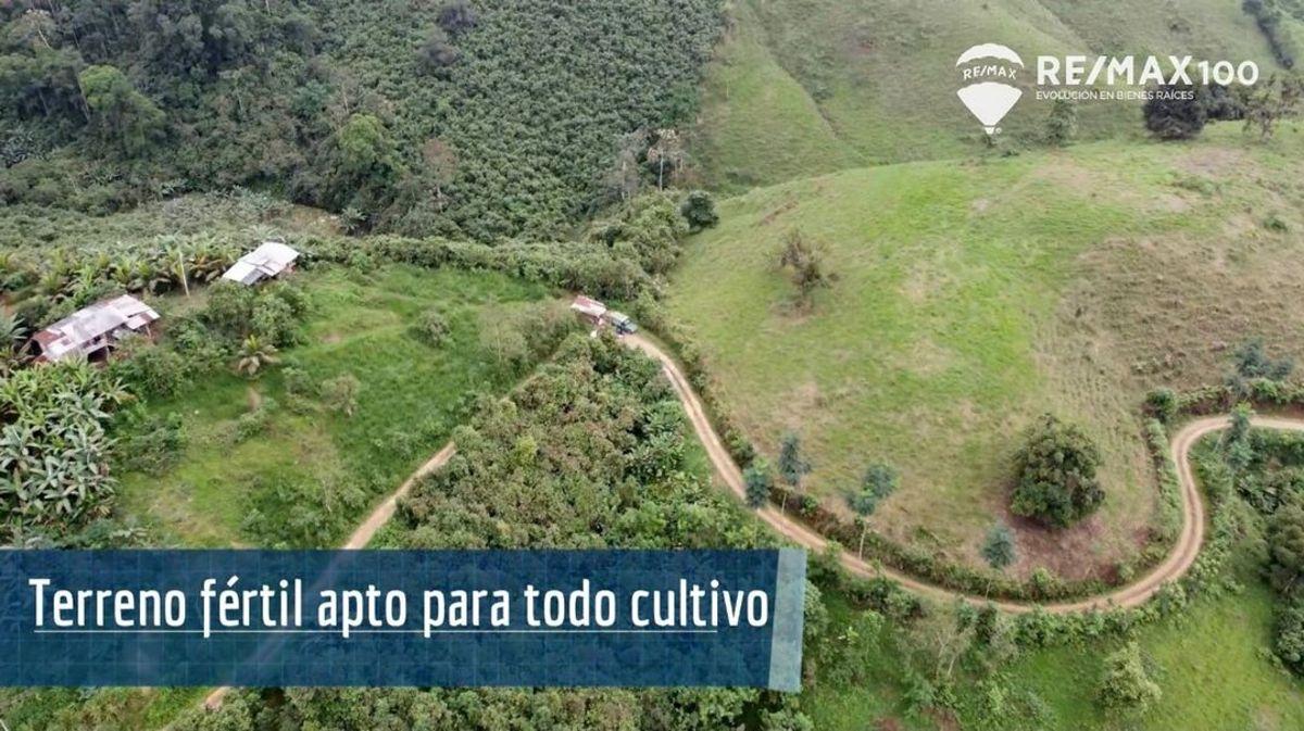 Venta Finca de 81.2011 Has - Carchipulla/santa Rosa, El Oro — imagen 6