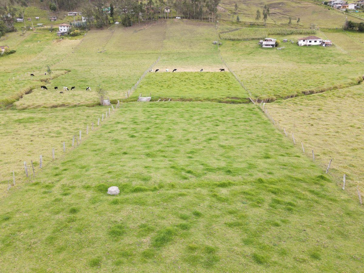 Terreno de Una Hectarea en Tarqui, Sector Rosa de Oro, Azuay — imagen 7