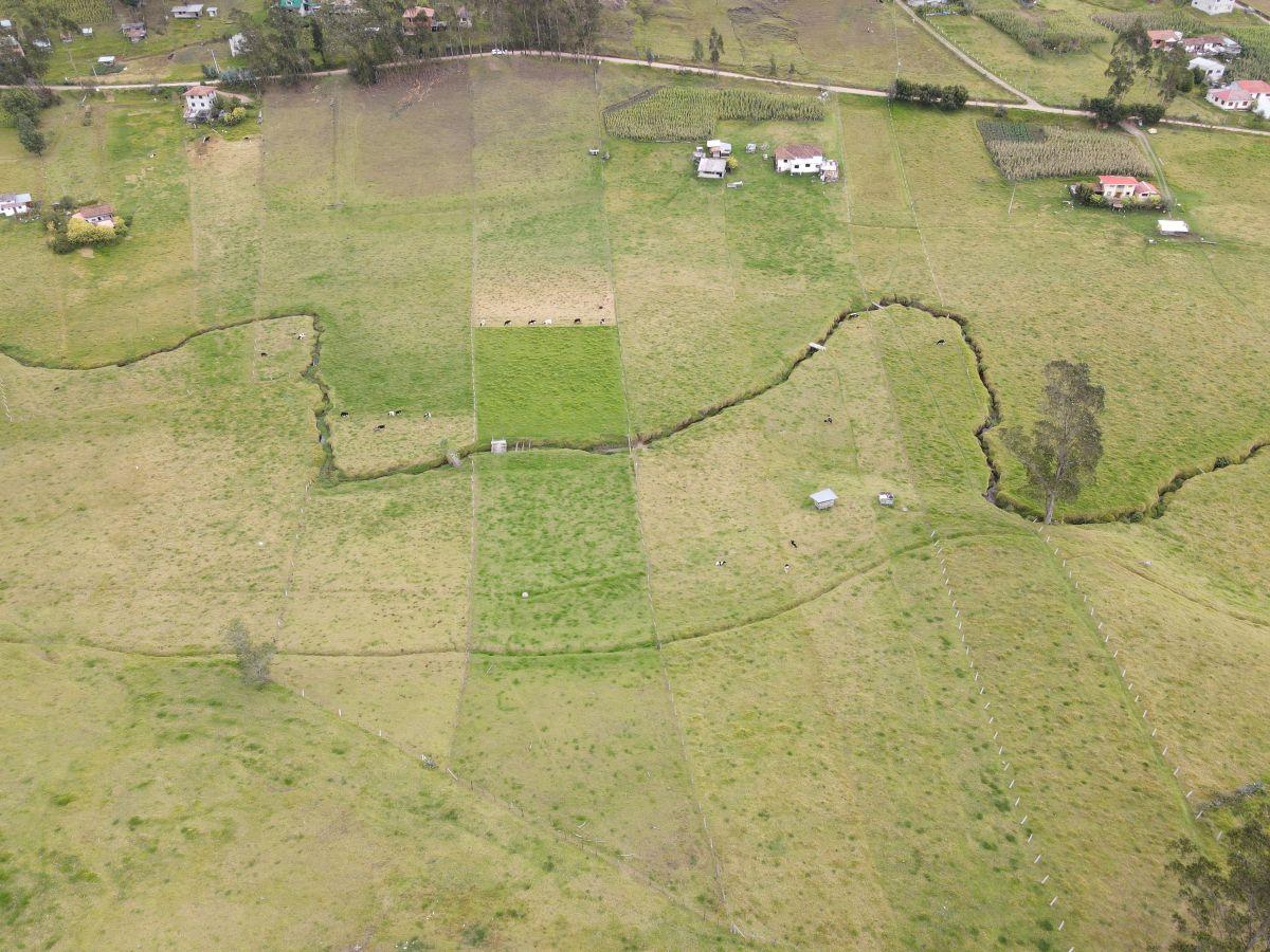 Terreno de Una Hectarea en Tarqui, Sector Rosa de Oro, Azuay — imagen 4