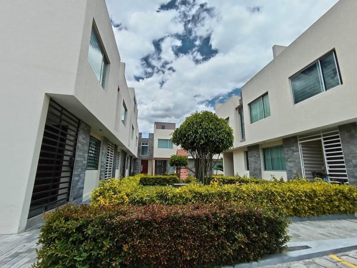 Venta Linda Casa en La Pampa Cerca Al Club de La Liga — imagen 8