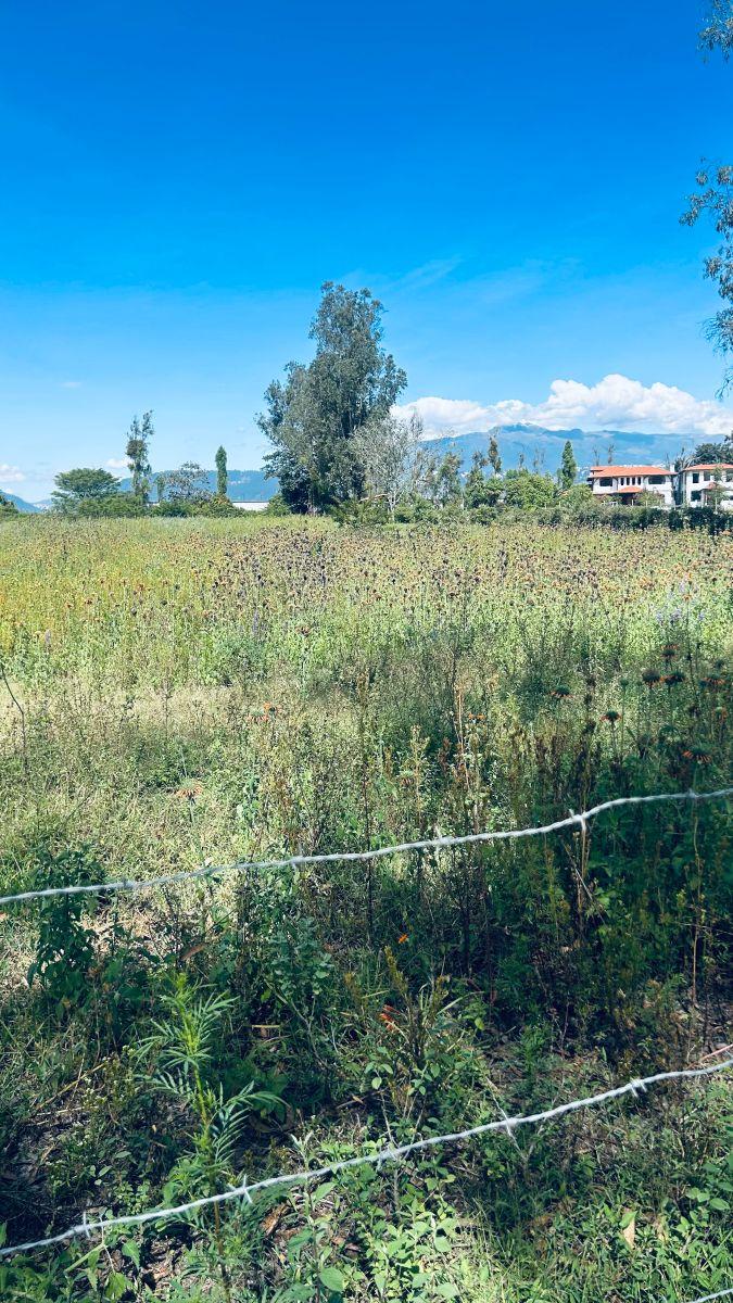 Venta Puemb0 11.308 m² Excelente Terreno Plano Proyectos — imagen 5