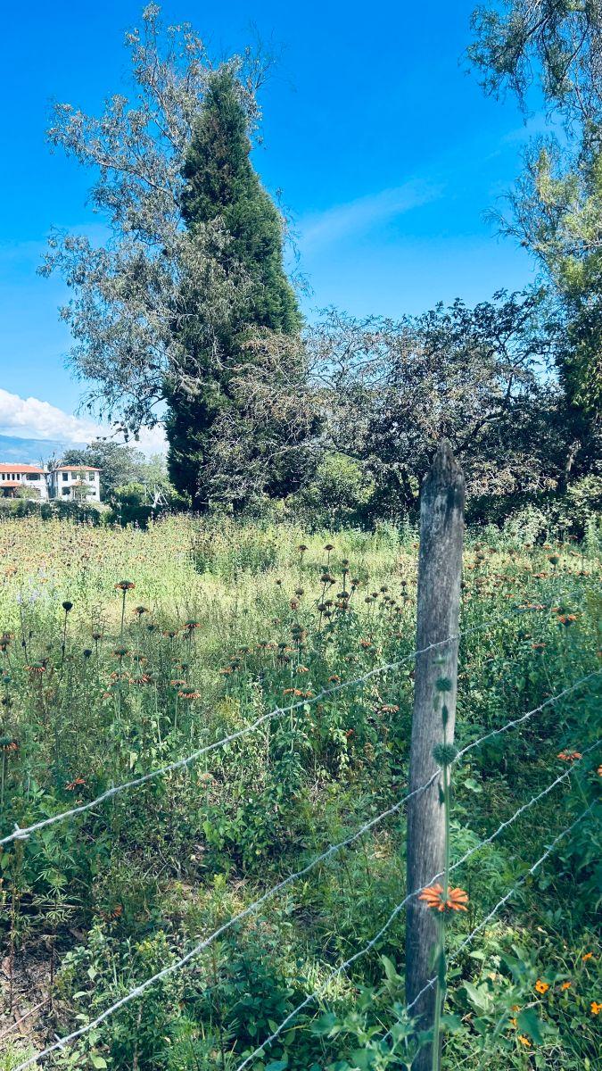 Venta Puemb0 11.308 m² Excelente Terreno Plano Proyectos — imagen 4