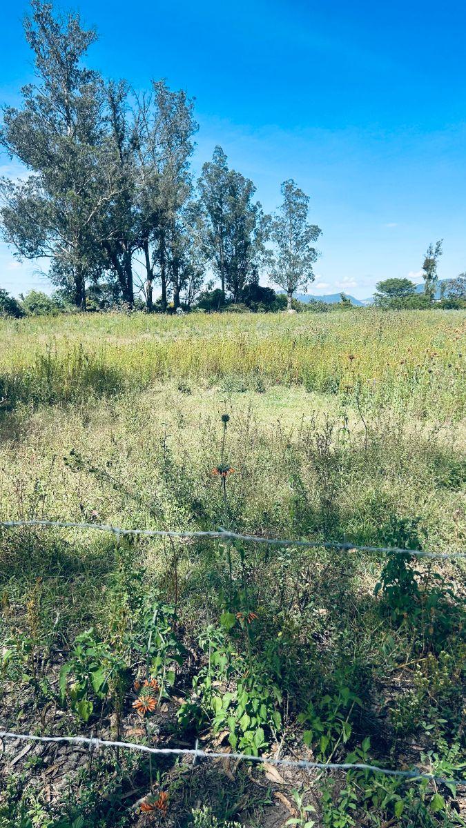 Venta Puemb0 11.308 m² Excelente Terreno Plano Proyectos — imagen 3