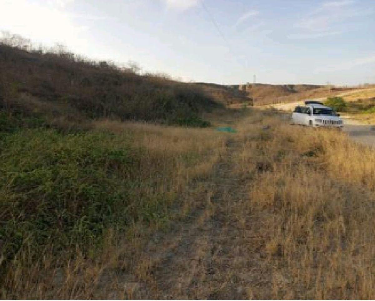 Manta, a 700 m E Urb. Manta Azul, Vendo Terreno 7000 m², Lote 7 - B. Buen Futuro Inmobiliario. Manabí — imagen 9