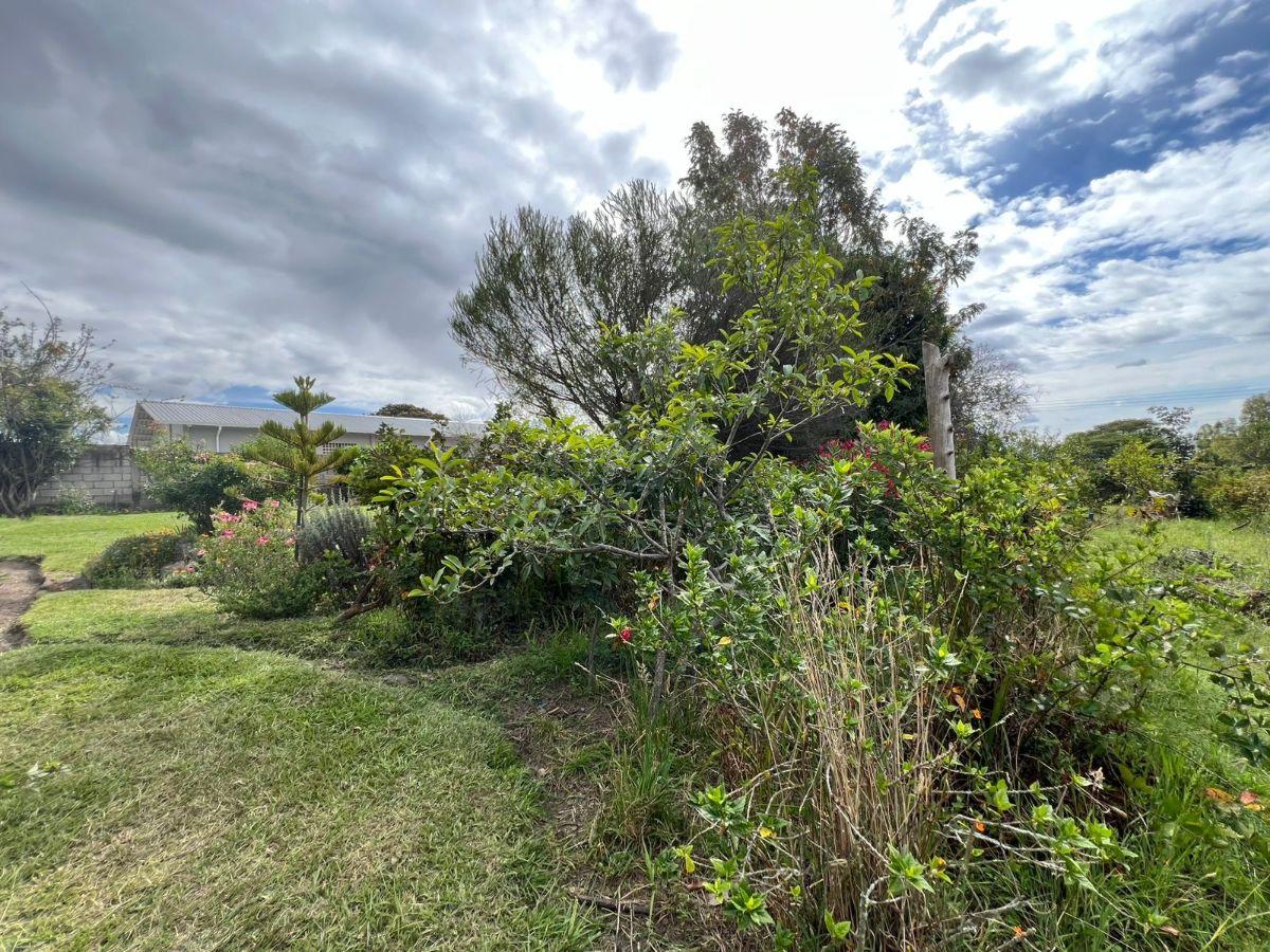 Vendo Lindo Terreno Independiente en Puembo, Muy Cerca a Plazas y a La Carretera con Pequeña Cabañ — imagen 6