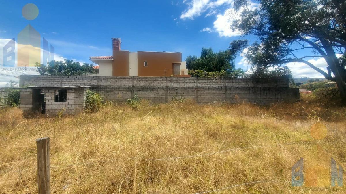 Terreno en Venta Completamente Plano en El Infa, Puente 7, Sector Conocoto — imagen 8