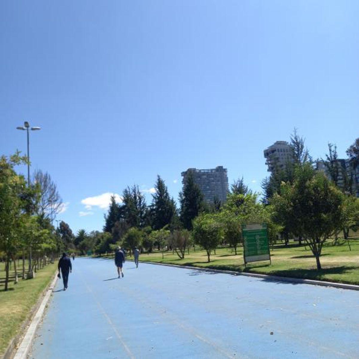 Departamento de Venta Sector El Jardin La Carolina — imagen 8