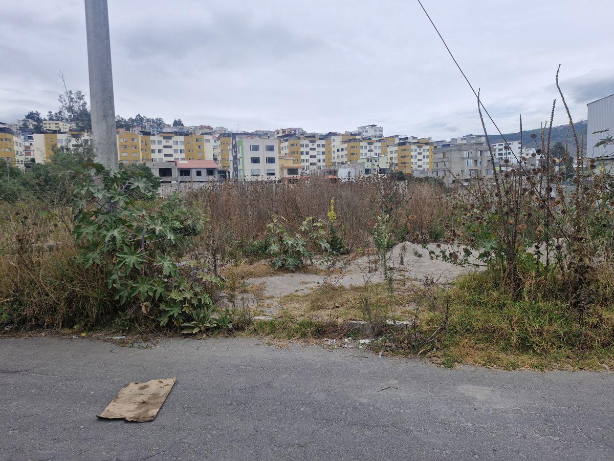 Terreno 470 m² en Venta – Carcelén Mastodontes — imagen 10