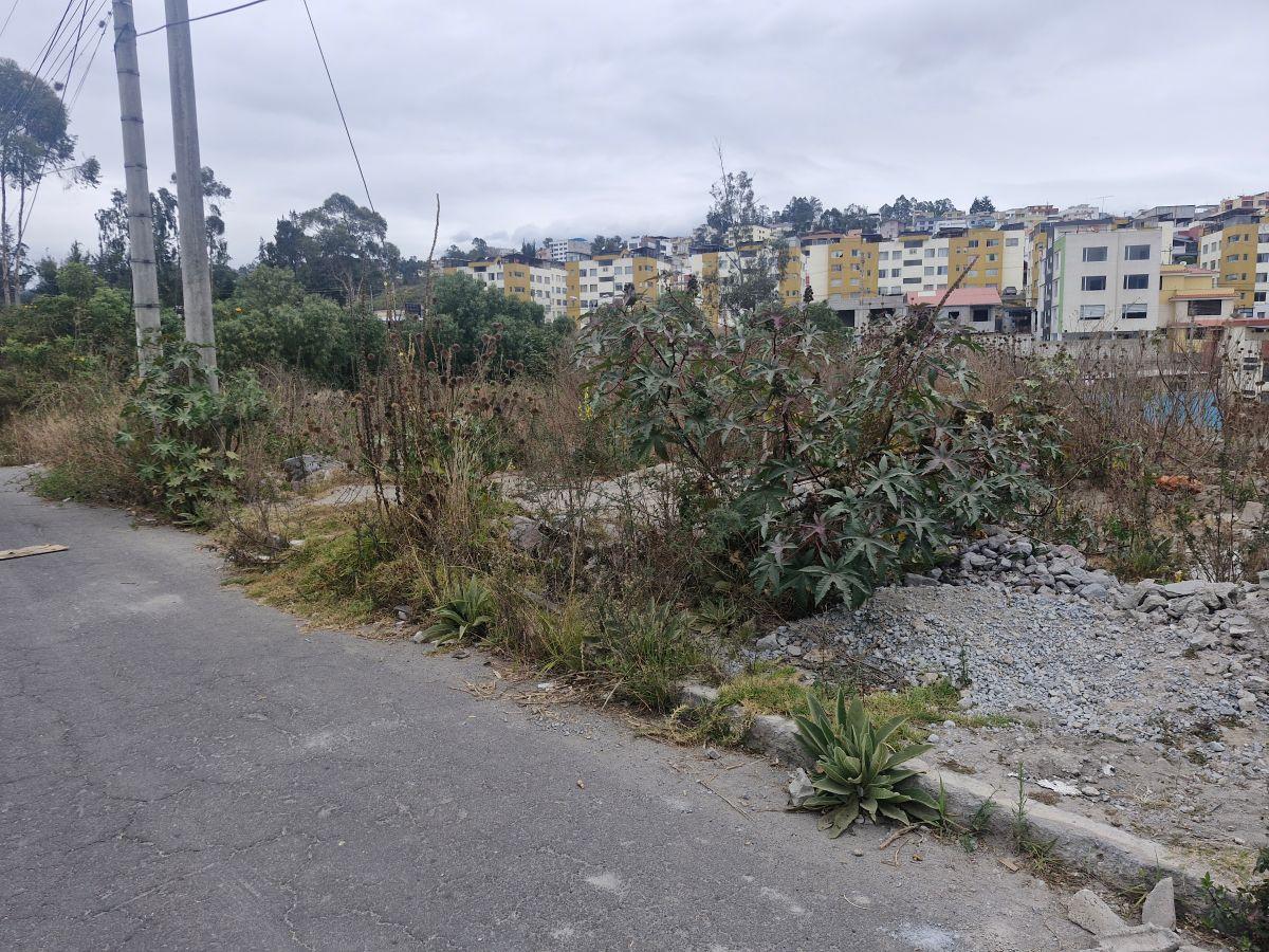 Terreno 470 m² en Venta – Carcelén Mastodontes — imagen 9