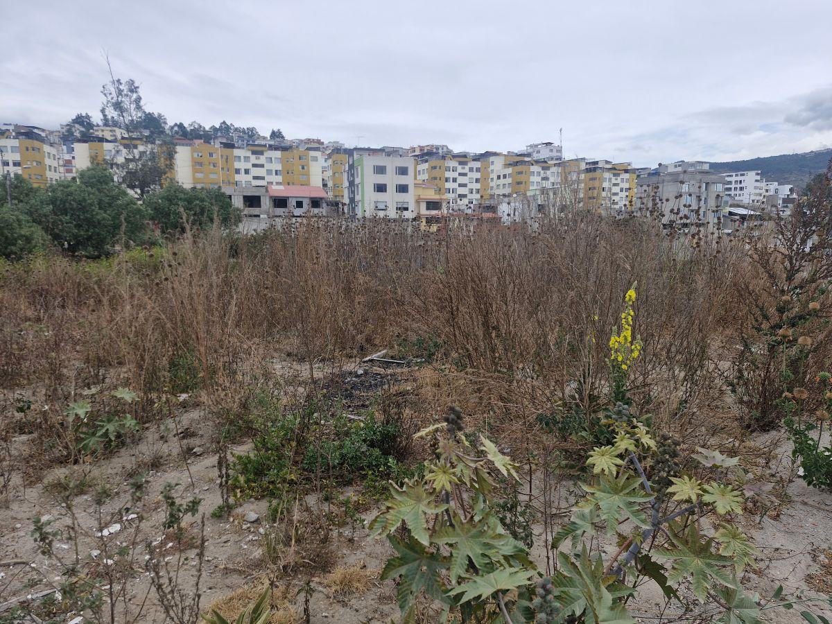 Terreno 470 m² en Venta – Carcelén Mastodontes — imagen 8