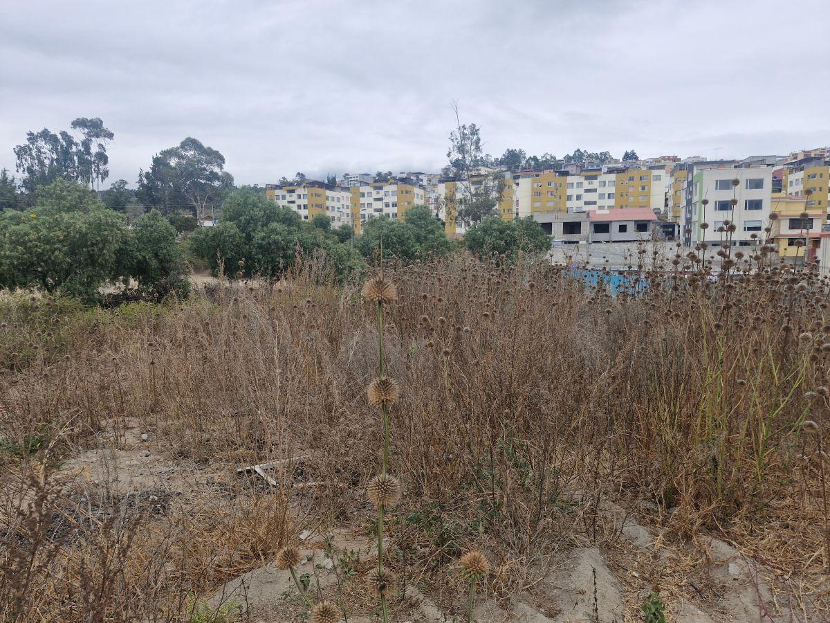 Terreno 470 m² en Venta – Carcelén Mastodontes — imagen 6