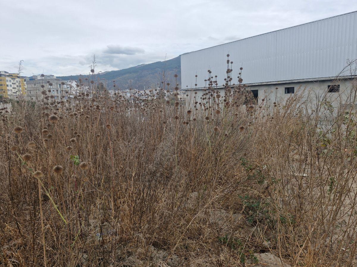 Terreno 470 m² en Venta – Carcelén Mastodontes — imagen 4