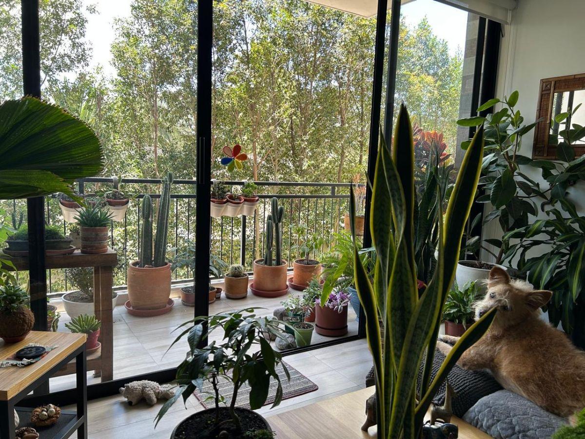 Precioso Departamento 2 Dorm. La Primavera — imagen 8