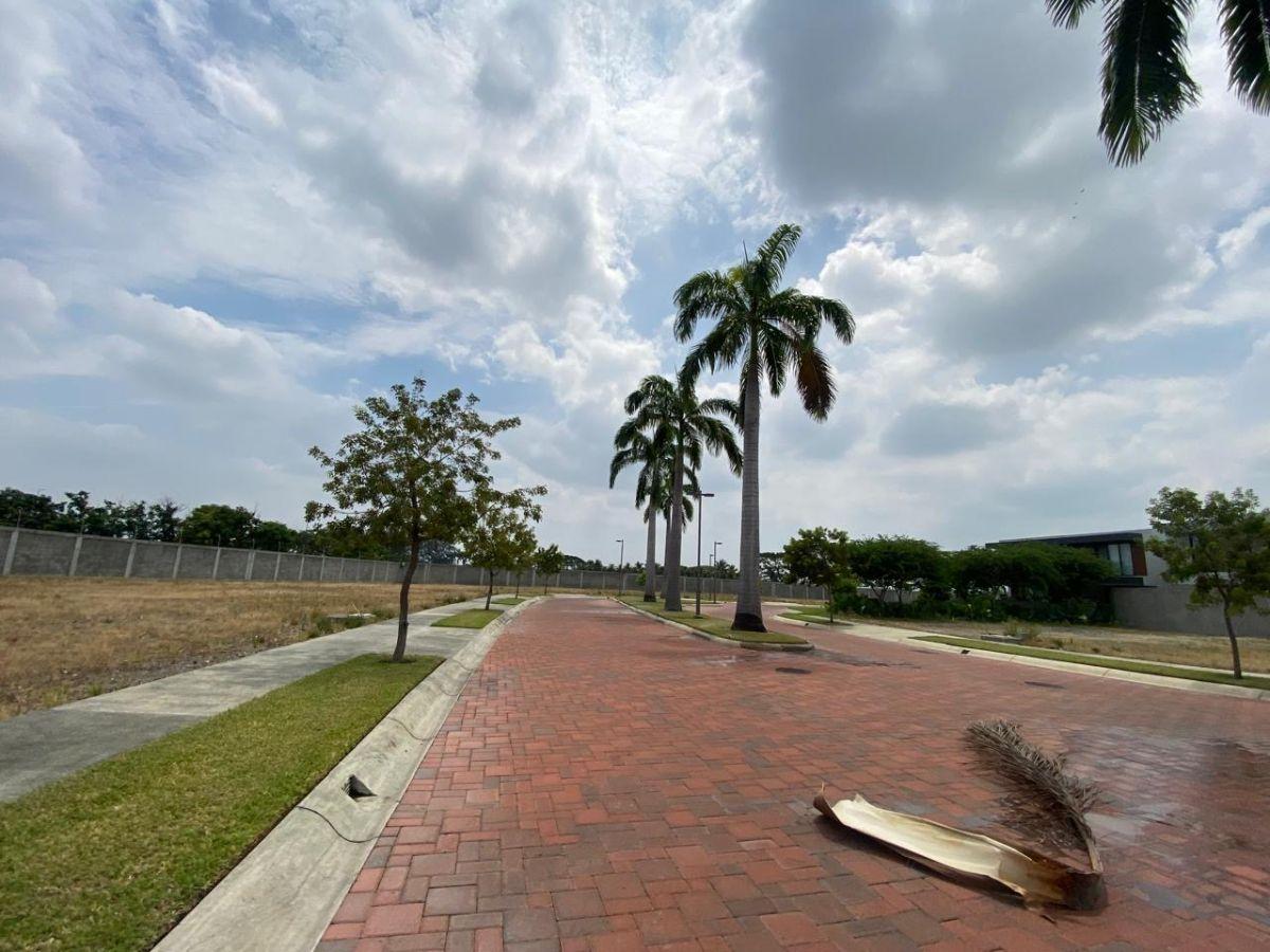 Vendo Terreno en Punta Barranca, Guayas — imagen 10