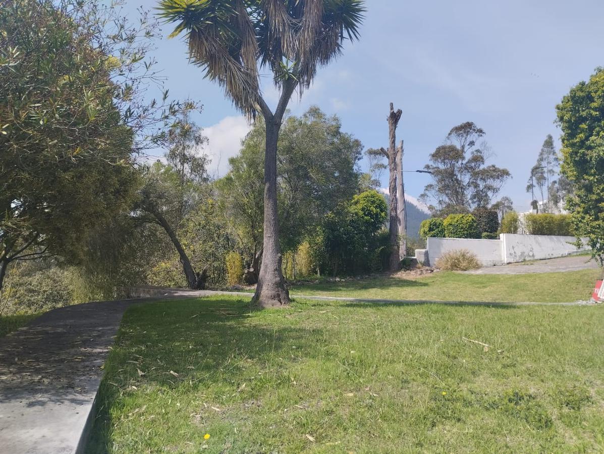 Sector Cumbaya - Miravalle, en Venta Terreno 9.322 m² (Mv) — imagen 5